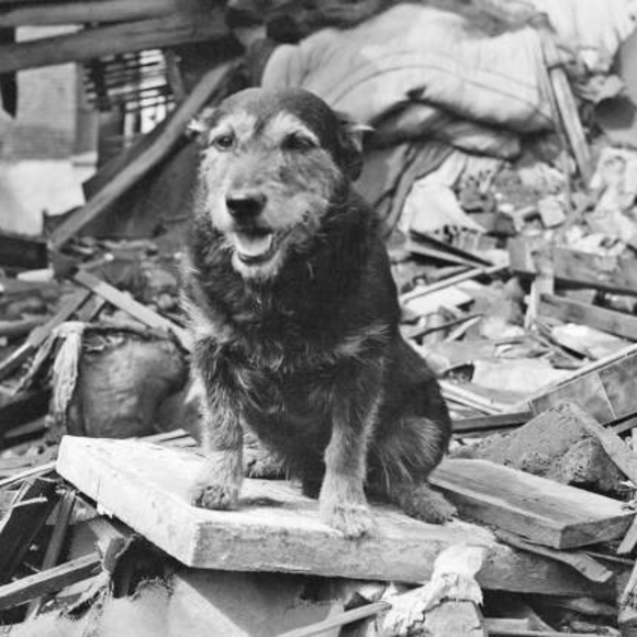 Profile Picture of Jimmy Watts (@jtwatts) on Poshmark