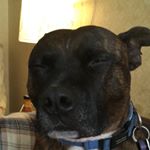 Profile Picture of Lillymitchell (@lillymitchell11) on Instagram