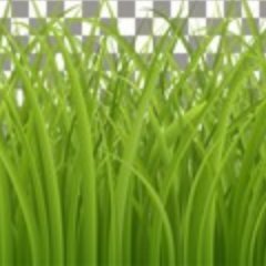 Profile Picture of Michael Blubaugh (@MichaelBlubaug3) on Twitter