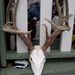 Profile Picture of Michael Tarantola (@bi2get12514) on Pinterest