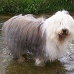 Profile Picture of Simone Robert Tetu (@monette_et_robert) on Instagram