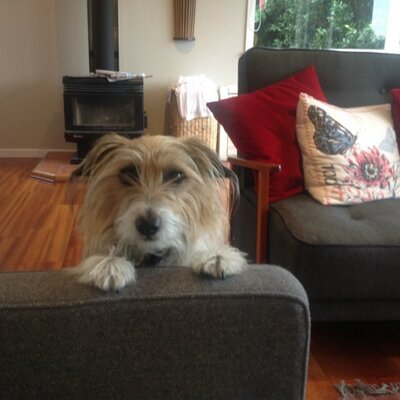 Profile Picture of Angus Robin Mckinnon (@GustyRaper) on Twitter