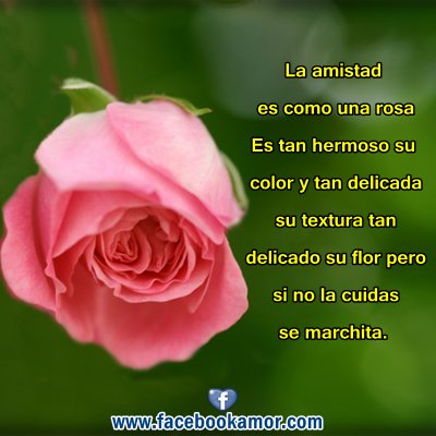 Profile Picture of Tara  Ramirez Mirand (@TaraMirand) on Twitter