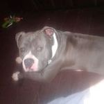 Thomas Sisk Jr. - Instagram Profile Picture of Thomas Sisk Jr. (@siskjr.thomas) on Instagram