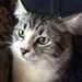 Profile Picture of Danny Steenkamp (@danny20020409) on Pinterest