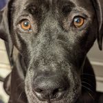 Profile Picture of Doug McCoy (@doogie821) on Instagram