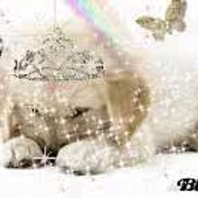 Profile Picture of Leah Clough (@leah_terri_) on Twitter