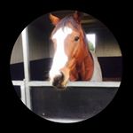 Profile Picture of Gary Hollier (@gazzbum) on Instagram