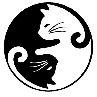 Profile Picture of Allison Amelia (@MsAllisonAmelia) on Twitter