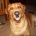 Profile Picture of Jim Milner (@jim.milner.58) on Facebook