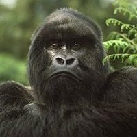 Profile Picture of Michael Hurwitz (@michael-hurwitz-7) on Quora