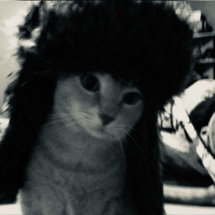 Profile Picture of deva.ughn (@deva.ughn) on Tiktok