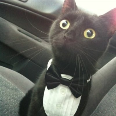 Profile Picture of Cady Smith (@CadySmith89) on Twitter