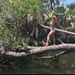 Profile Picture of Kari Lovelace (@karikayann92312) on Pinterest