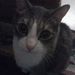 Profile Picture of Kathy Schubert Stock (@kathystock18) on Pinterest