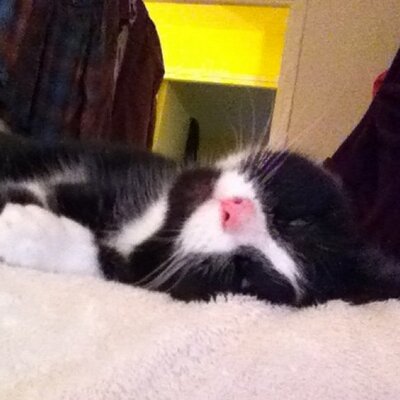 Profile Picture of Marcus Blanks (@MarcusB1977) on Twitter