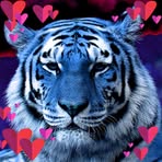 Profile Picture of Amber Azul (@Amber-Azul) on Facebook