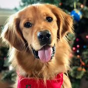 Profile Picture of Michael Pence (@FIGHTdroogCLUB) on Youtube