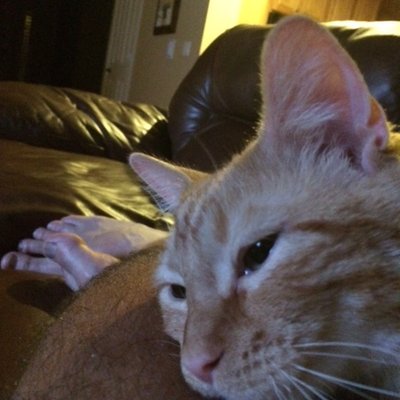 Profile Picture of Tim Wink (@TimWink1) on Twitter