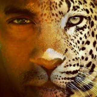 DeMond Smith - Instagram Profile Picture of DeMond Smith (@demond_calvin) on Instagram