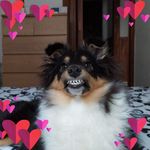 Profile Picture of Alena Jirásková (@alena.novakova82) on Instagram