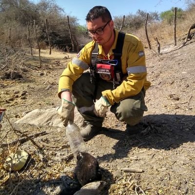 Profile Picture of Leo Brandt (@LeoBran98092370) on Twitter