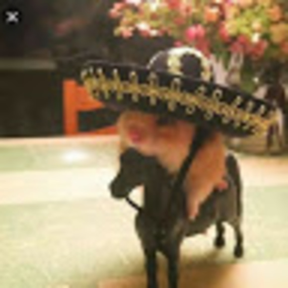 Profile Picture of Jc Cavazos (@jc_cavazos) on Poshmark