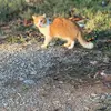 Profile Picture of Saylor Ray (@saylor.ray8) on Tiktok