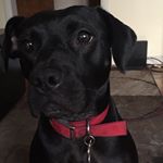 Profile Picture of Jeff Decker (@jdecker1002) on Instagram