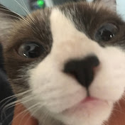 Profile Picture of Mateo Ontiveros (@2-ajosemateoontiveros612) on Youtube