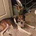 Profile Picture of Mike Remaley (@mike.remaley.92) on Facebook