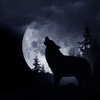 Profile Picture of Alex Barta (@@alexvokje) on Tiktok