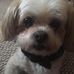 Profile Picture of Guy Christopher (@guy.christopher.3954) on Facebook