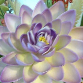 Profile Picture of Obrian Lirin (@obrian.lirin) on Facebook