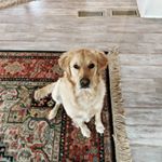 Profile Picture of scott whitworth (@whitworth7830) on Instagram