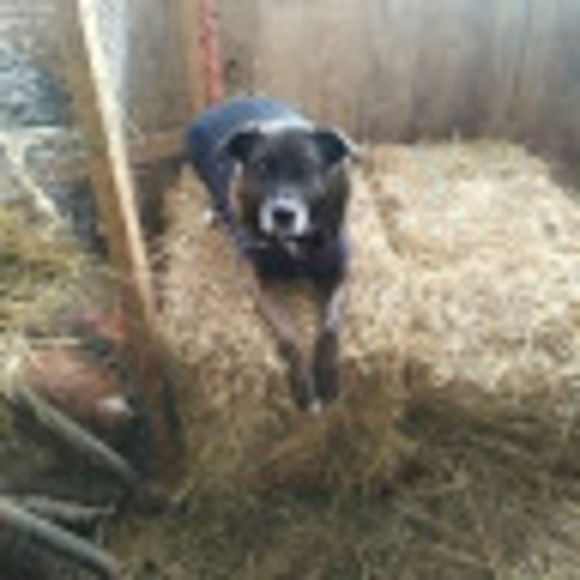 Marie Gohier - Poshmark Profile Picture of Marie Gohier (@marielady91) on Poshmark