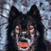 Profile Picture of Gabriel Philips (@gabriel.philips.3979489) on Facebook