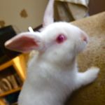 Profile Picture of Jeff (@jeff_baldy) on Instagram