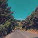 Profile Picture of Tisharn Hansen-Williams (@th20177) on Pinterest