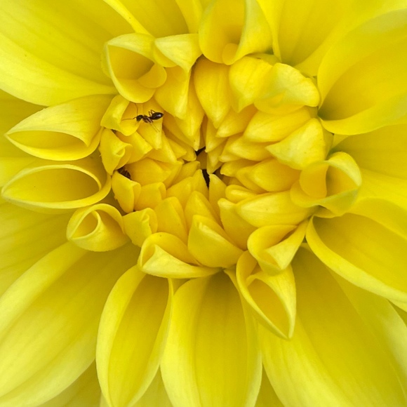 Profile Picture of J & j Edwards (@jjedwards2005) on Poshmark