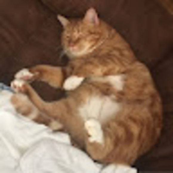 Profile Picture of Freja Frigard (@frejafrigard) on Poshmark