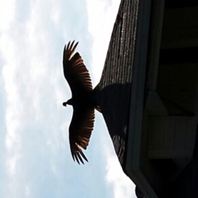 Profile Picture of John Kreimer (@kreimer2757) on Twitter