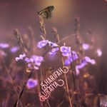 Profile Picture of Sharifah Suraiya Syed Mohsin (@sharifah_suraiya) on Instagram