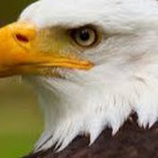 Profile Picture of Doug Clay (@SurfCityCA) on Youtube