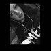 Profile Picture of Lisa Modugno (@lisa0710576) on Pinterest