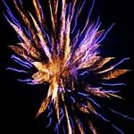 Profile Picture of Jason Weigand (@sctreetitan) on Instagram