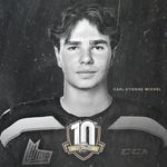 Profile Picture of Carl-Étienne Michel (@carle_michel) on Instagram