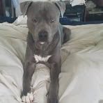 Profile Picture of Janette Kriesch (@janette.kriesch) on Facebook