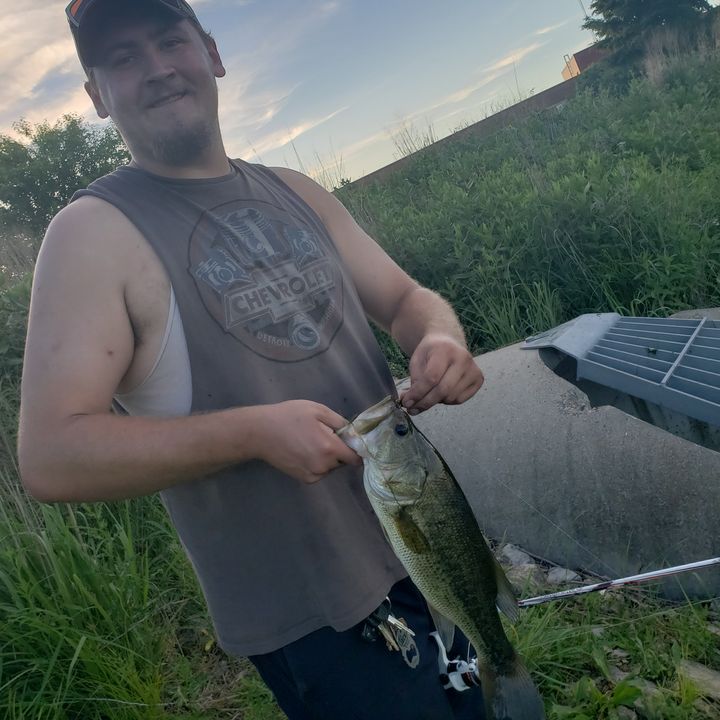 Profile Picture of Paul Schausc (@paulschaus) on Tiktok