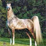 Profile Picture of Chris Ortman (@chris.ortman.72) on Instagram